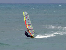 windsurf